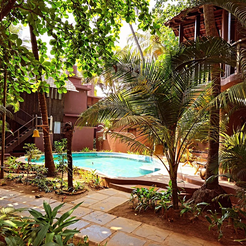 The vibe is peaceful and cosy